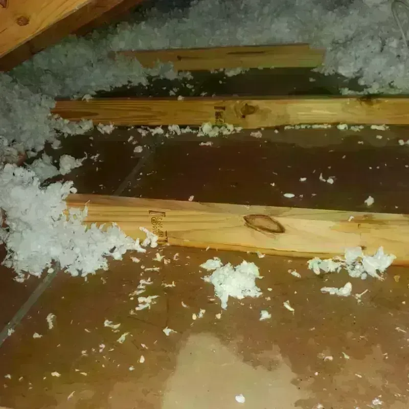 Attic Water Damage in Randolph County, AL